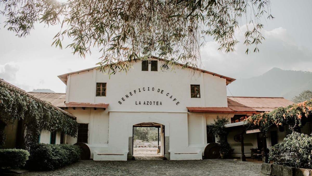 Charming historic building of Beneficio de Cafe La Azotea surrounded by lush greenery and cobblestones.